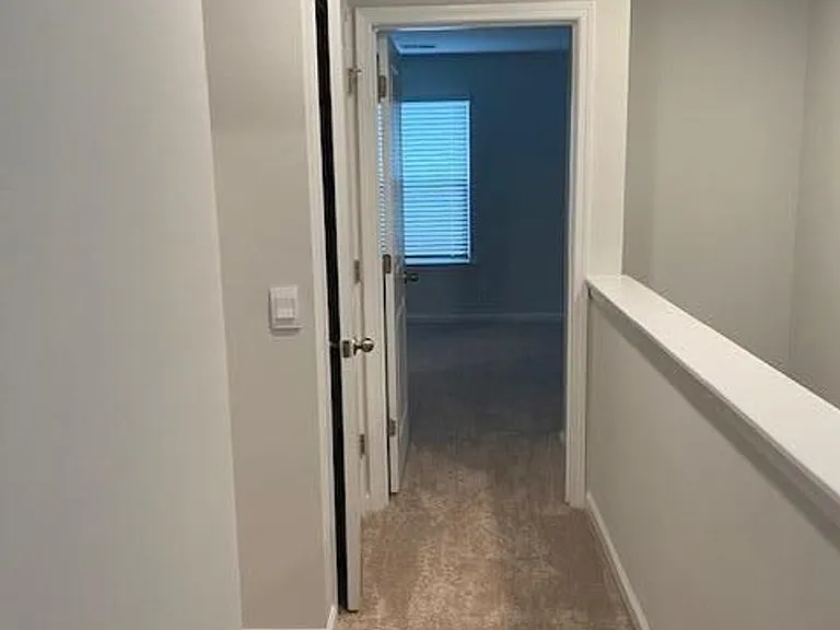 121 Blossom Wood Ln — Photo 14
