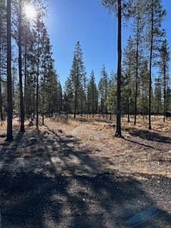 5th image of Pinewood Pl #22
