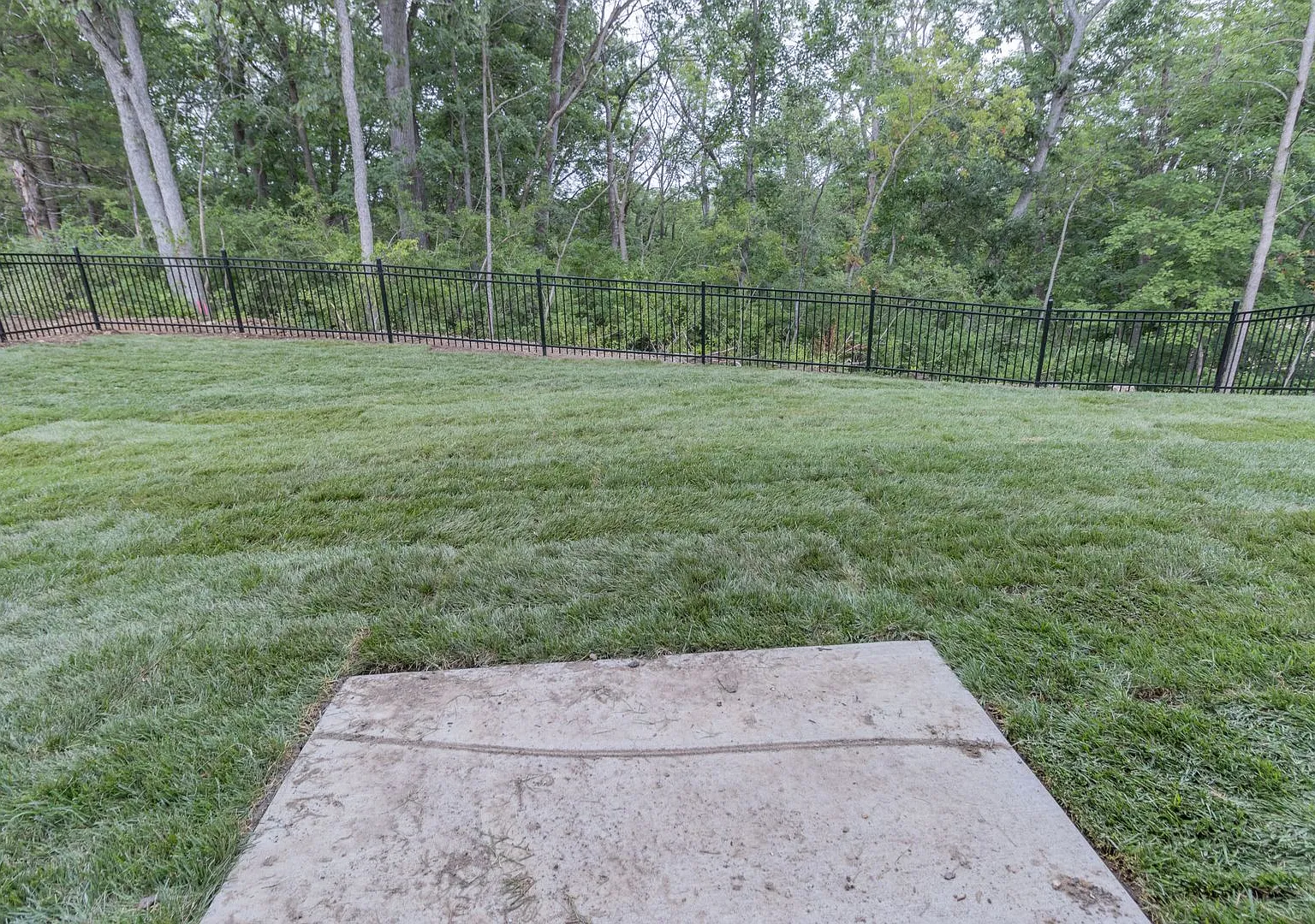 Brand New Modern Construction 3 Bed + 2.5 Bath Home — Photo 2