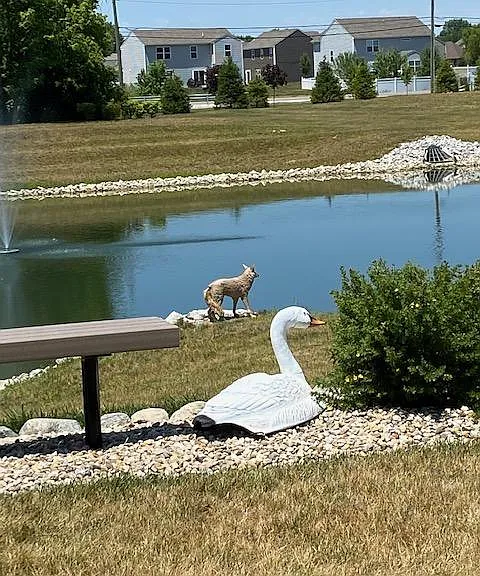 Community lake and park