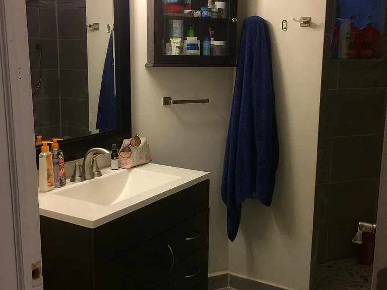 954 W Cullerton St #BASEMENT — Photo 6