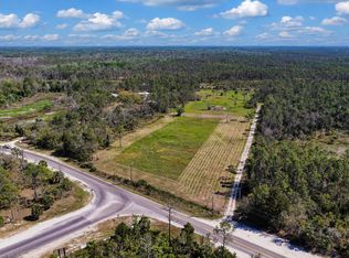 0 SW 358th Hwy, Steinhatchee, FL 32359