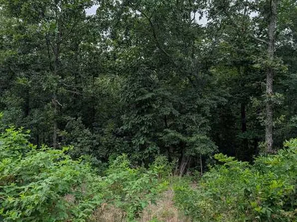 Selkirk Dr #5, Bella Vista, AR 72715