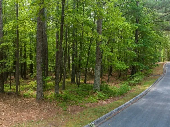 0 Golden Delicious Rd, Clarkesville, GA 30523