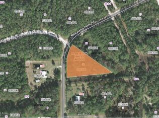 186 Whispering Pines Rd, Georgetown, FL 32139