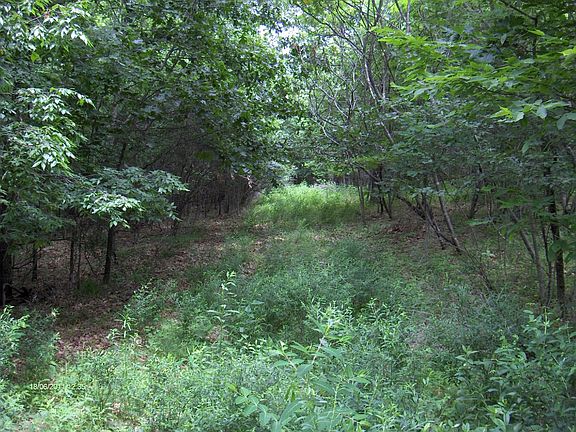 5th image of 178 Lonesome Dove Rd