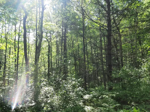 4170 Northwood Ct, Barton City, MI 48705