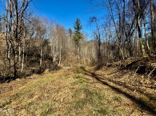 207/AC Highway 421 S, Mountain City, TN 37683