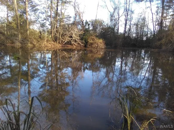 0 Highway 107/co Rd #47, Fayette, AL 35555