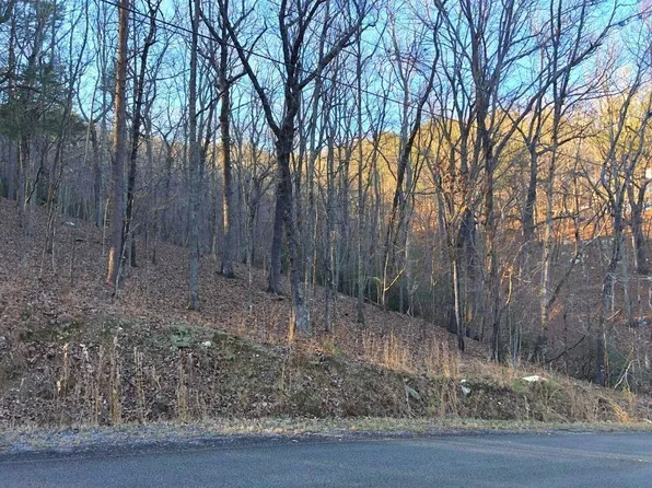 120 Silver Fox Loop #58, Waleska, GA 30183