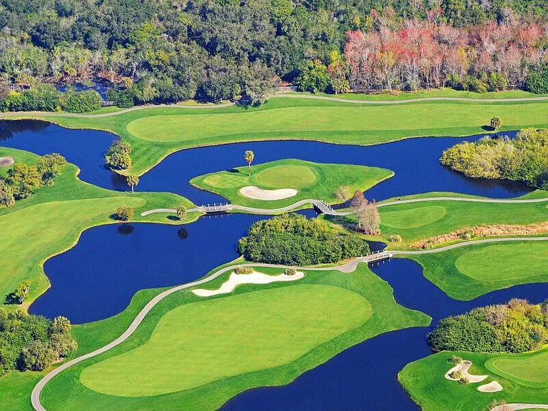 The famous Innisbrook Golf Resort, home to PGA tournoment, Valspar. .2 miles from us, right across the street! You cannot get any closer. The golf courses here are second to none.