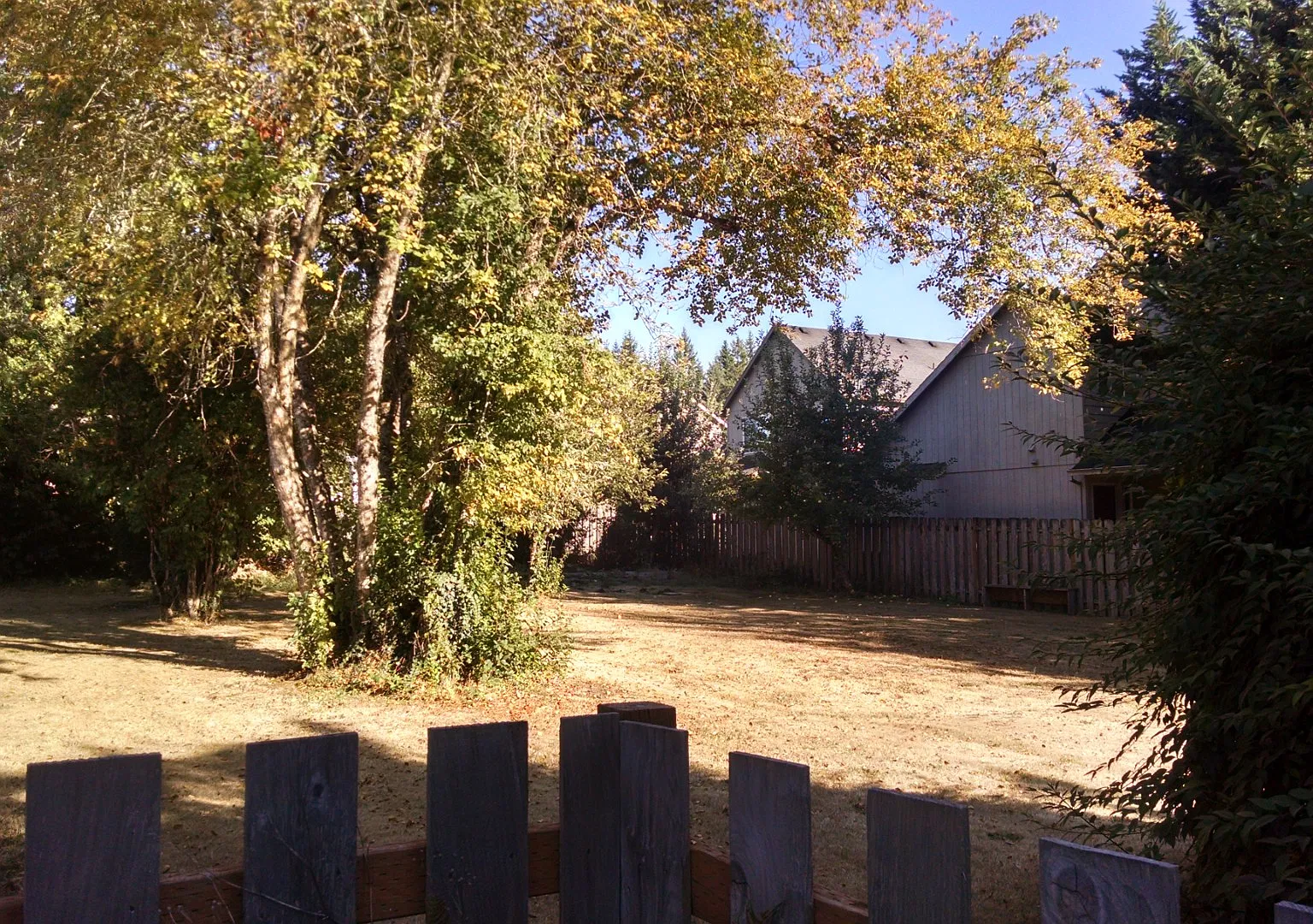 3 bed, 1378 sqft, $2,595 — Photo 2