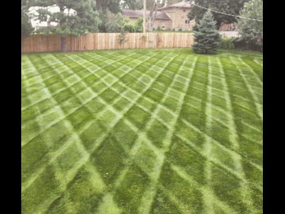 Large back lawn(sprinklered)