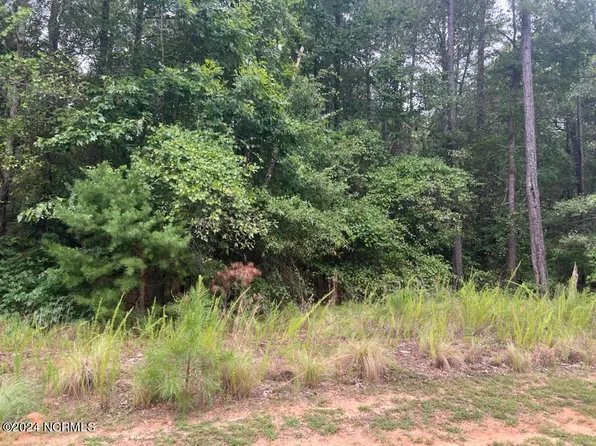133 N State Lane, Rockingham, NC 28379