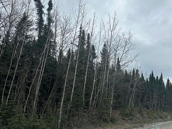 5th image of 38060 Adkins Rd