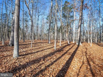 6 Swift River Way, Shepherdstown, WV, 25443