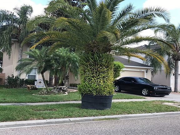 3rd image of 2742 Mingo Dr