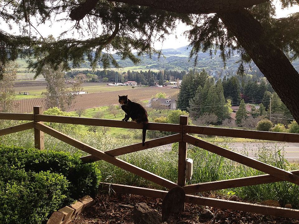 View from house