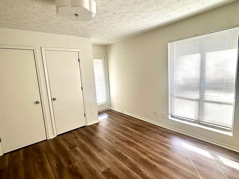 1 long closet with 2 doors and an access door to the balcony porch