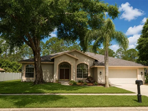17316 Hialeah Dr, Odessa, FL 33556