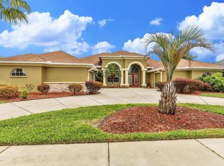 3498 Misty View Dr, Spring Hill, FL 34609
