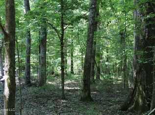 Henderson Rd, Bentonia, MS 39040