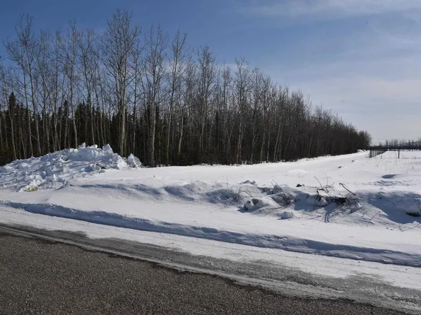 Tr44b3 Spruce Rd, Delta Junction, AK 99737