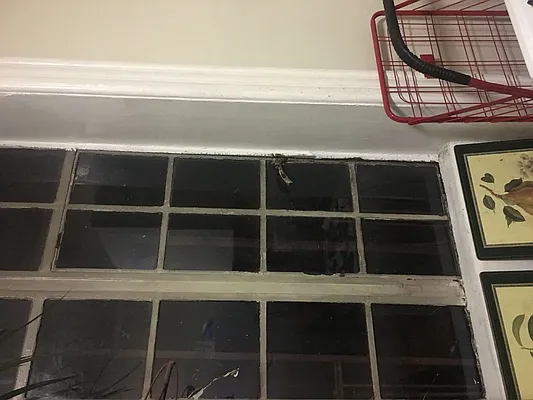 Rented by Nooklyn NYC LLC | media 5