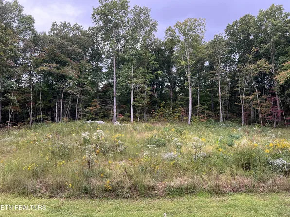 Willow Ridge Dr, Crossville, TN 38555