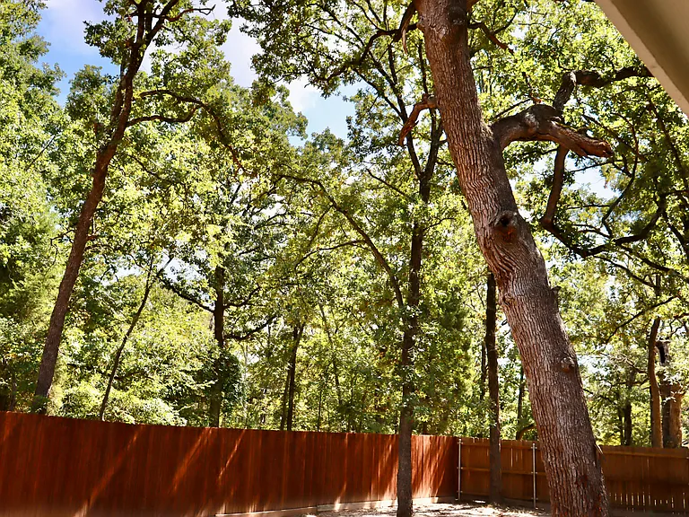 14147 Daniel Boone Ln — Photo 20