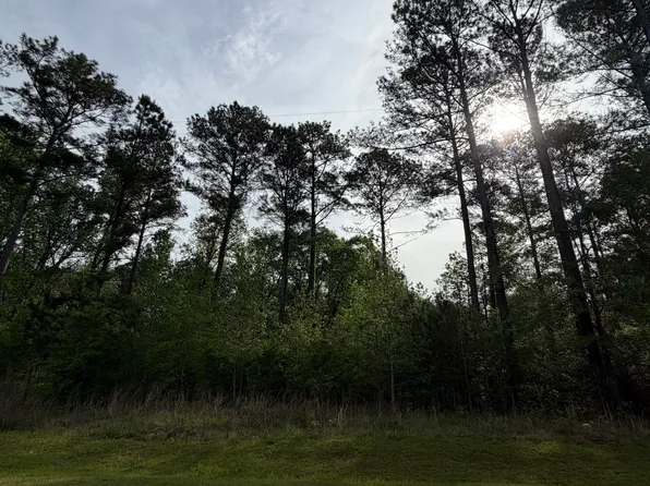 0 Brower Ct, Dublin, GA 31021