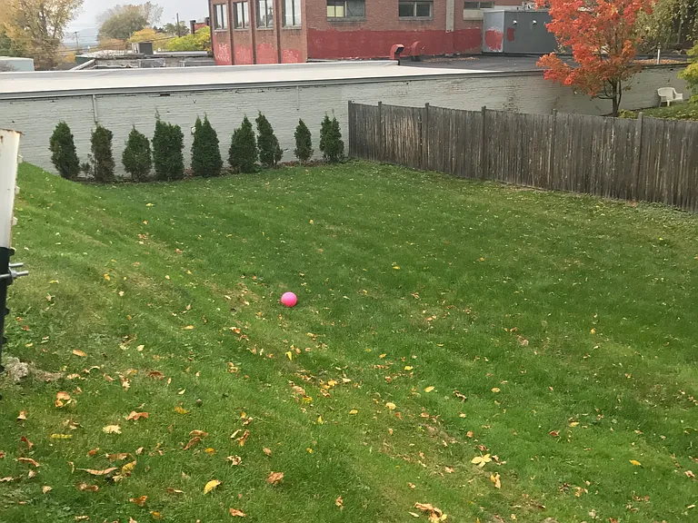 23 Hayward St #7 — Photo 6