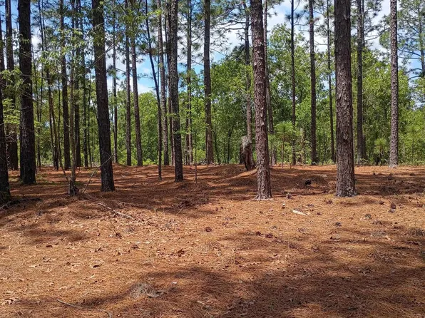 178 Homestead Ln, Society Hill, SC 29593