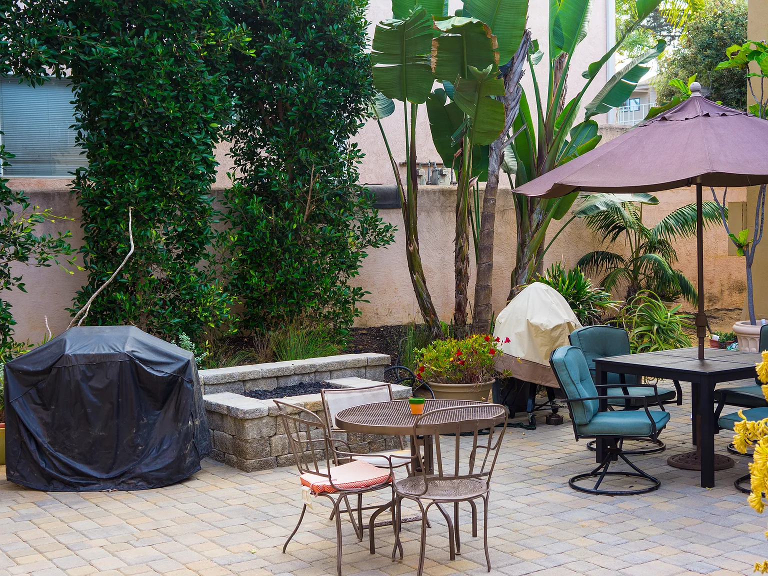 1 bed, 700 sqft, $3,100 — Photo 2