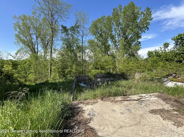 9731 E Coats Grove Rd, Woodland, MI 48897