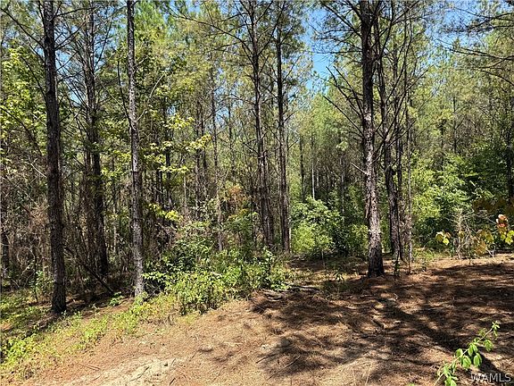 5th image of 0 County Road 100