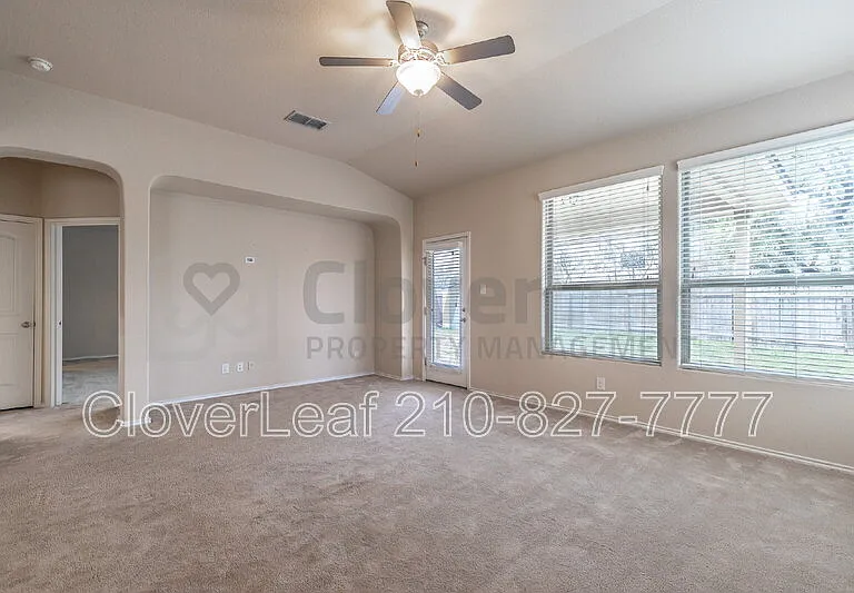 3734 Ox Eye Daisy — Photo 11