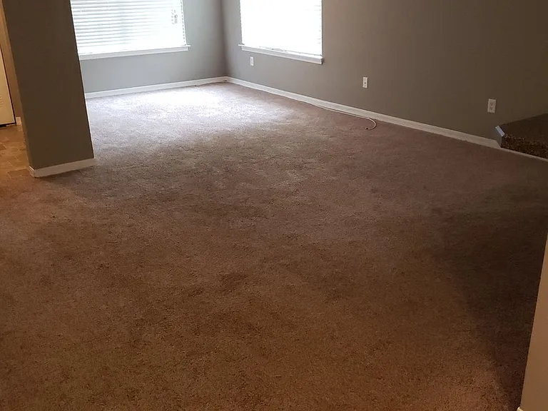 1717 County Road 220 #3204 — Photo 4