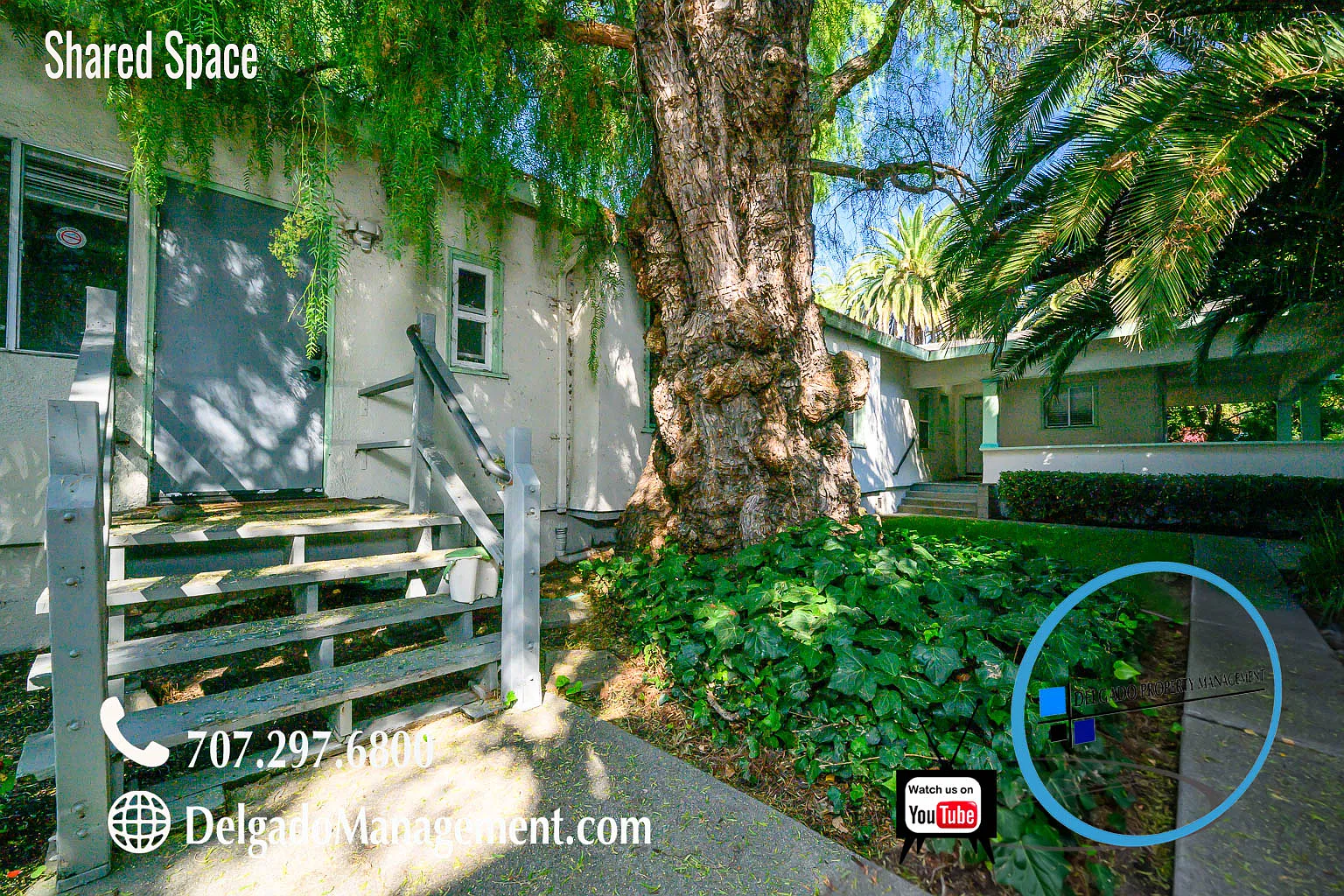 Studio, $995 — Photo 3