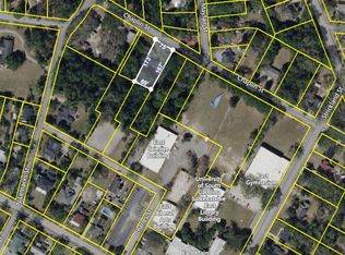 306 Chaplin St, Walterboro, SC 29488