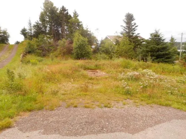 127 Bayview Road, Springdale, NL A0J1T0