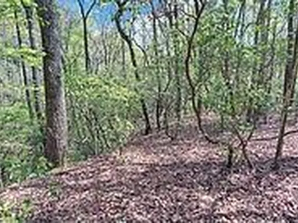 T 2 Clayton Gooch Road Tr 2, Dahlonega, GA 30533