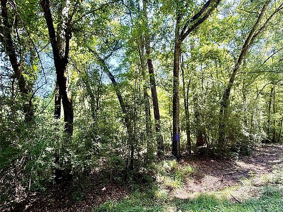 2nd image of 6 Rolling Hills Dr
