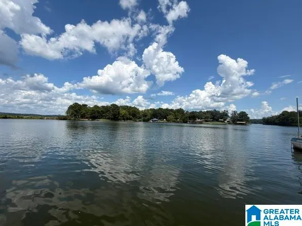 105 Hollis Court Rd, Vincent, AL 35178