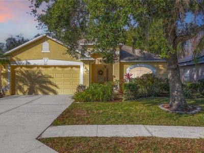 3013 Trinity Cottage Dr, Land O Lakes, FL, 34638