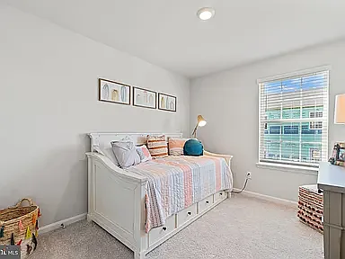 204 Caterpillar Dr — Photo 5
