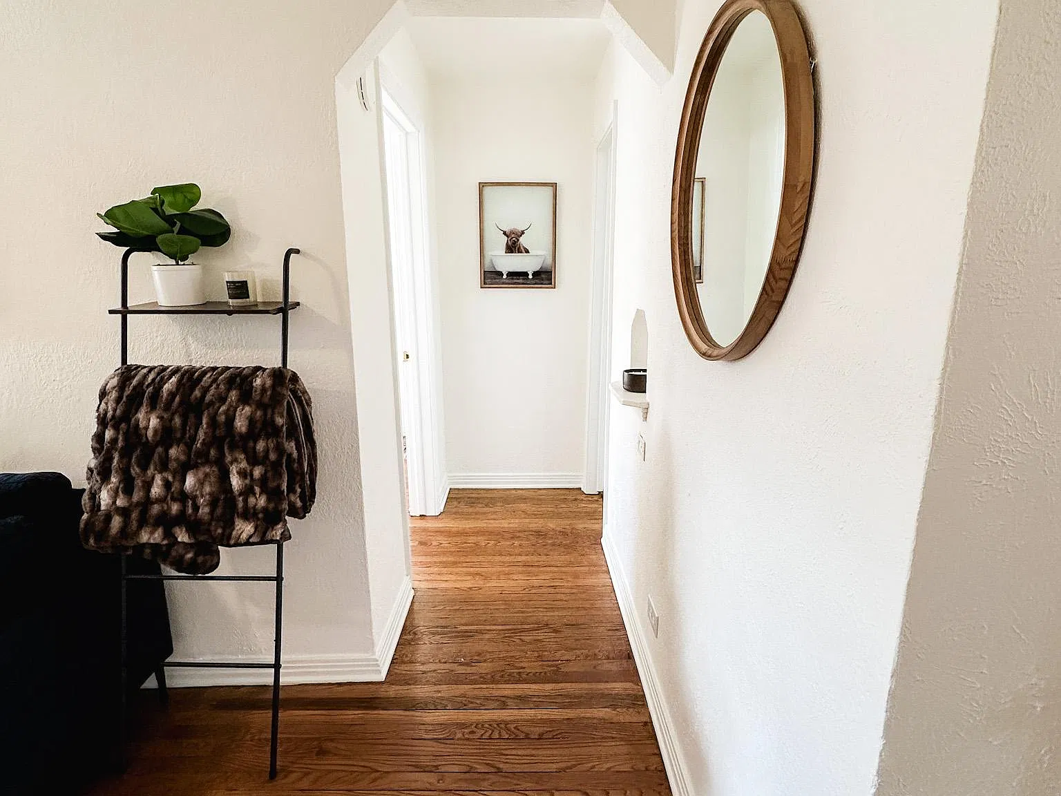 1 bed, 560 sqft, $3,000 — Photo 3