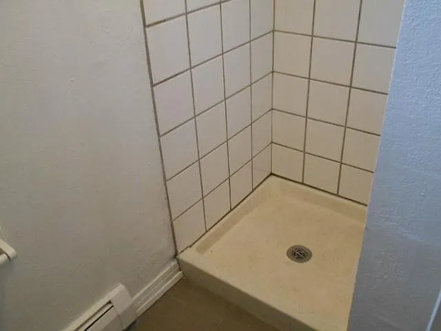 Downstairs bathroom shower