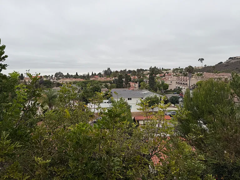 6833 Urubu St — Photo 37