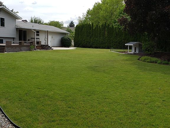Secluded back yard